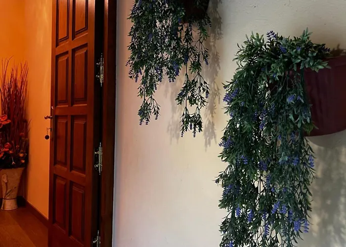 El Puente Aparthotel *